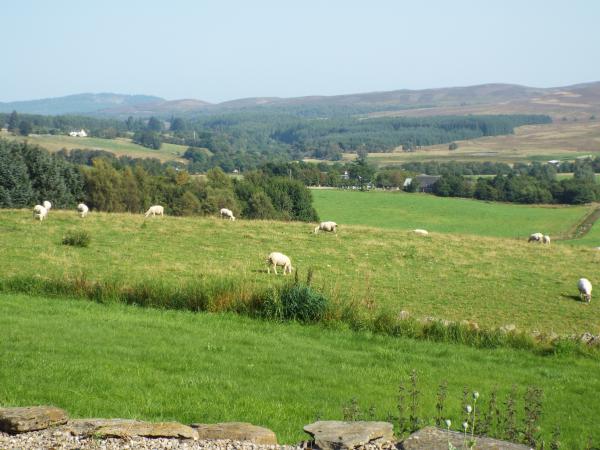 View East
